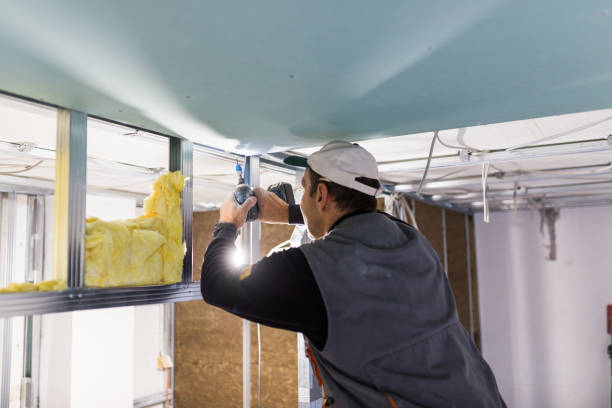 Best Spray Foam Insulation in Valley, NE